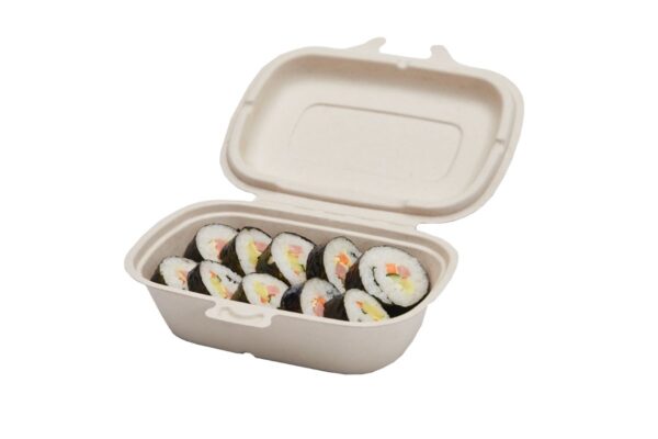 Pulp hinged container with 1 compartment - 450ml=20