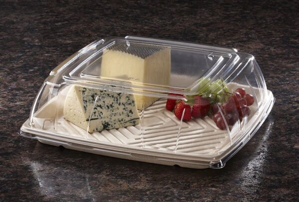 14 Square Pulp Platter and lid Anchor earth.jpg