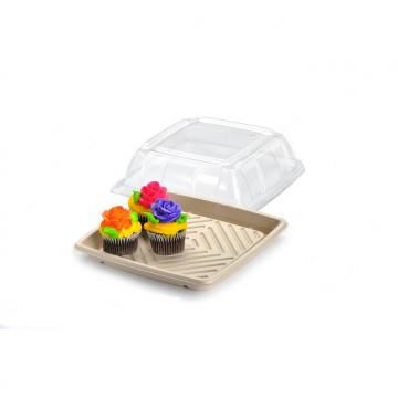 Clear Lid PET for 10" Square Pulp Platter 25/ctn