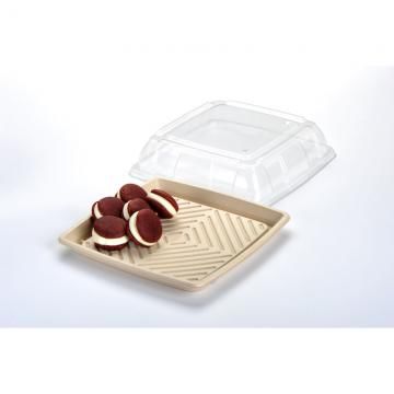 Clear Lid PET for 12" Square Pulp Platter 25/ctn