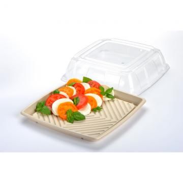 Clear Lid PET for 14" Square Pulp Platter 25/ctn