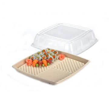 Clear Lid PET for 16" Square Pulp Platter 25/ctn