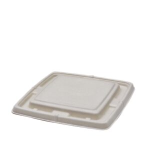 AS-PRT6X9 PU.jpg