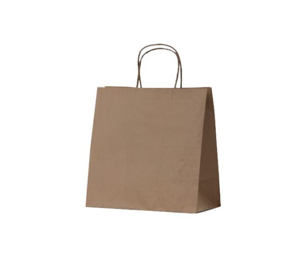 betaeco small brown kraft takeaway bag.jpg