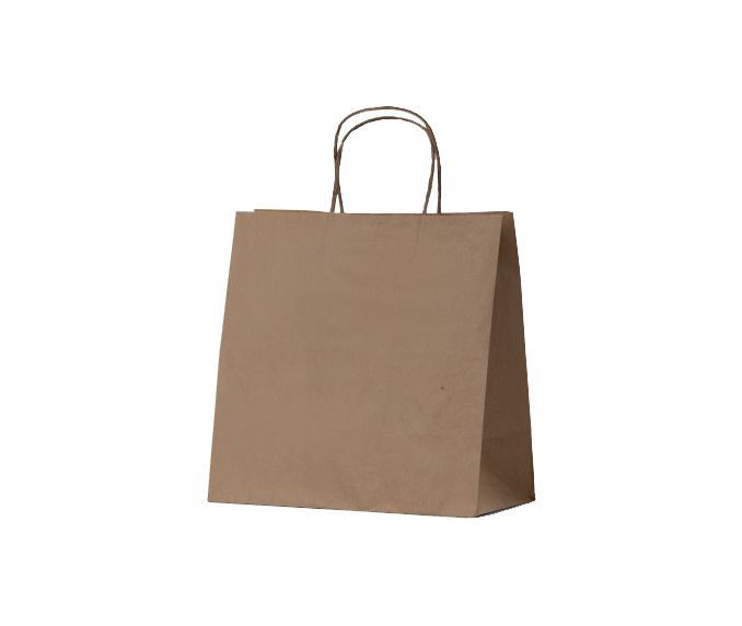 betaeco small brown kraft takeaway bag.jpg