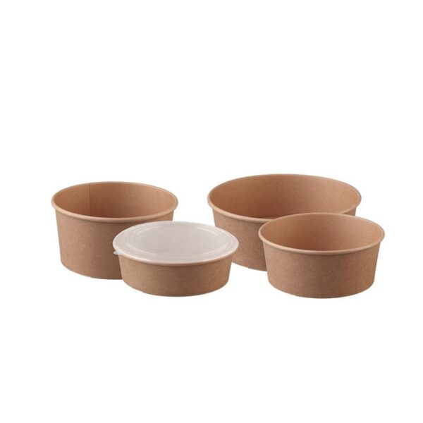 kraft food bowls anchor earth copy 2.jpg