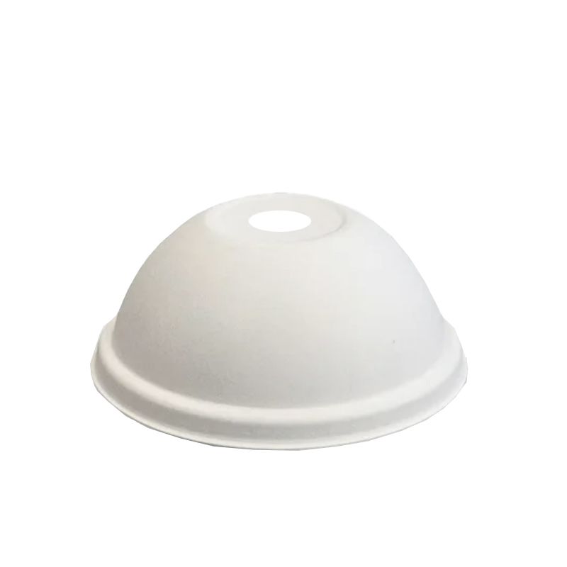 Pulp Dome lid.jpg