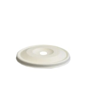 Pulp flat lid.jpg