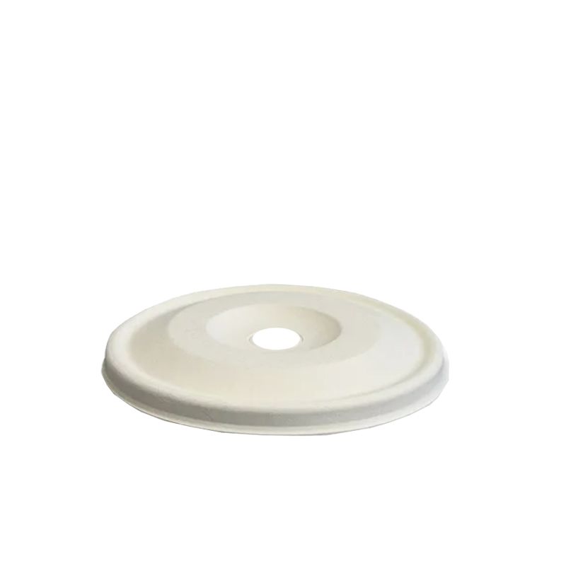 Pulp flat lid.jpg