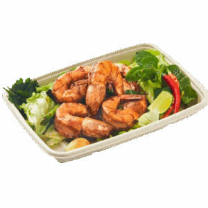 20oz / 550ml Sabert Rectange Tray - 6x9"