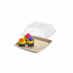 Clear PET Lid for 10" Sabert Pulp Platter - Square
