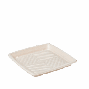 10" Sabert Pulp Platter - Square