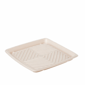 12" Sabert Pulp Platter - Square