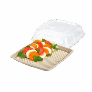 Clear PET Lid for 14" Sabert Pulp Platter - Square