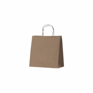 Small Carry Bag - Kraft